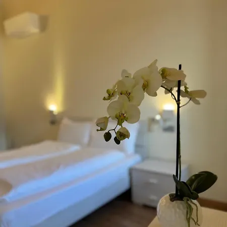 Palazzo Garibaldi 住宿加早餐酒店 利莫内-苏尔加达